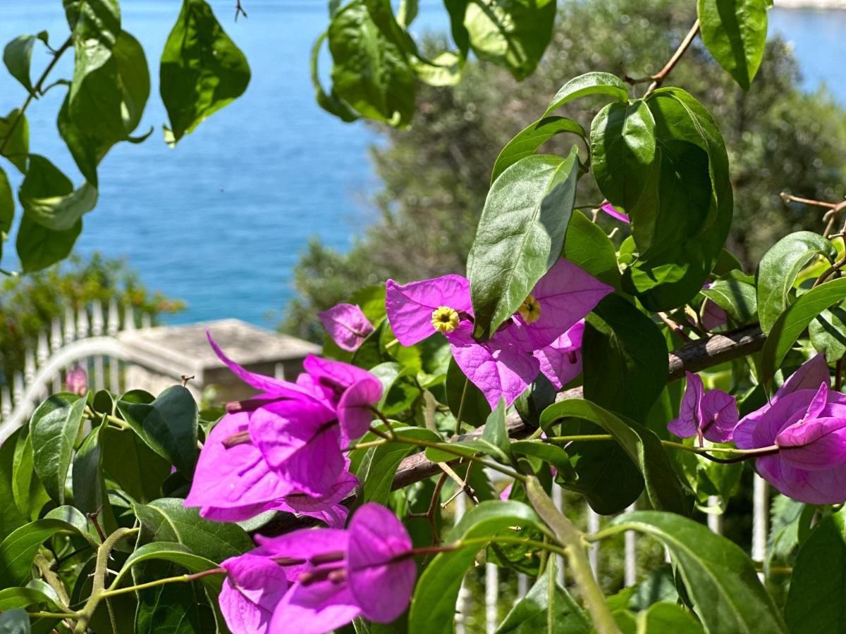 Luxury Seaside Villa With A Classic Mediterranean Olive Garden, A Fully Equipped Professional Kitchen, Pool, Sauna, Padle Boards And Canoe - Miolin Beach House Trogir Extérieur photo